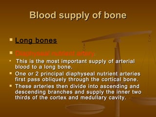 Blood supply of boneBlood supply of bone
 Long bones
 Diaphyseal nutrient artery::

This is the most important supply of arterialThis is the most important supply of arterial
blood to a long bone.blood to a long bone.
 One or 2 principal diaphyseal nutrient arteriesOne or 2 principal diaphyseal nutrient arteries
first pass obliquely through the cortical bone.first pass obliquely through the cortical bone.
 These arteries then divide into ascending andThese arteries then divide into ascending and
descending branches and supply the inner twodescending branches and supply the inner two
thirds of the cortex and medullary cavity.thirds of the cortex and medullary cavity.
 