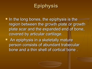 EpiphysisEpiphysis
 In the long bones, the epiphysis is theIn the long bones, the epiphysis is the
region between the growth plate or growthregion between the growth plate or growth
plate scar and the expanded end of bone,plate scar and the expanded end of bone,
covered by articular cartilage.covered by articular cartilage.
 An epiphysis in a skeletally matureAn epiphysis in a skeletally mature
person consists of abundant trabecularperson consists of abundant trabecular
bone and a thin shell of cortical bone . bone and a thin shell of cortical bone . 
 