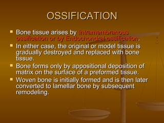 OSSIFICATIONOSSIFICATION
 Bone tissue arises byBone tissue arises by IntramembranousIntramembranous
ossification or by Endochondral ossificationossification or by Endochondral ossification..
 In either case, the original or model tissue isIn either case, the original or model tissue is
gradually destroyed and replaced with bonegradually destroyed and replaced with bone
tissue.tissue.
 Bone forms only by appositional deposition ofBone forms only by appositional deposition of
matrix on the surface of a preformed tissue.matrix on the surface of a preformed tissue.
 Woven bone is initially formed and is then laterWoven bone is initially formed and is then later
converted to lamellar bone by subsequentconverted to lamellar bone by subsequent
remodeling.remodeling.
 