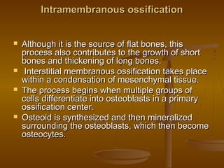 Intramembranous ossificationIntramembranous ossification
 Although it is the source of flat bones, thisAlthough it is the source of flat bones, this
process also contributes to the growth of shortprocess also contributes to the growth of short
bones and thickening of long bones.bones and thickening of long bones.
 Interstitial membranous ossification takes placeInterstitial membranous ossification takes place
within a condensation of mesenchymal tissue.within a condensation of mesenchymal tissue.
 The process begins when multiple groups ofThe process begins when multiple groups of
cells differentiate into osteoblasts in a primarycells differentiate into osteoblasts in a primary
ossification center.ossification center.
 Osteoid is synthesized and then mineralizedOsteoid is synthesized and then mineralized
surrounding the osteoblasts, which then becomesurrounding the osteoblasts, which then become
osteocytes.osteocytes.
 