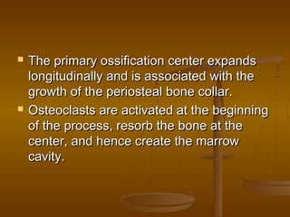  The primary ossification center expandsThe primary ossification center expands
longitudinally and is associated with thelongitudinally and is associated with the
growth of the periosteal bone collar.growth of the periosteal bone collar.
 Osteoclasts are activated at the beginningOsteoclasts are activated at the beginning
of the process, resorb the bone at theof the process, resorb the bone at the
center, and hence create the marrowcenter, and hence create the marrow
cavity.cavity.
 