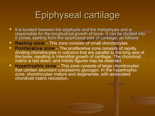 Epiphyseal cartilageEpiphyseal cartilage
 It is located between the epiphysis and the metaphysis and isIt is located between the epiphysis and the metaphysis and is
responsible for the longitudinal growth of bone. It can be divided intoresponsible for the longitudinal growth of bone. It can be divided into
5 zones, starting from the epiphyseal side of cartilage, as follows:5 zones, starting from the epiphyseal side of cartilage, as follows:
 Resting zone – This zone consists of small chondrocytes.
 Proliferative zone – The proliferative zone consists of rapidly
dividing chondrocytes in columns that are parallel to the long axis of
the bone, resulting in interstitial growth of cartilage. The chondroid
matrix is laid down, and mitotic figures may be detected.
 Hypertrophic zone – This zone consists of large chondrocytes
that contain abundant cytoplasmic glycogen. In the hypertrophic
zone, chondrocytes mature and degenerate, with associated
chondroid matrix resorption.
 