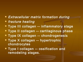  Extracellular matrix formation during
 fracture healing
 Type III collagen -- inflammatory stage
 Type II collagen -- cartilaginous phase
 Type IX collagen -- chondrogenesis
 Type X collagen -- hypertrophic
chondrocytes
 Type I collagen -- ossification and
remodeling stages.
 
