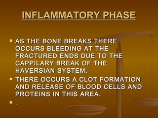 INFLAMMATORY PHASEINFLAMMATORY PHASE
 AS THE BONE BREAKS THEREAS THE BONE BREAKS THERE
OCCURS BLEEDING AT THEOCCURS BLEEDING AT THE
FRACTURED ENDS DUE TO THEFRACTURED ENDS DUE TO THE
CAPPILARY BREAK OF THECAPPILARY BREAK OF THE
HAVERSIAN SYSTEM.HAVERSIAN SYSTEM.
 THERE OCCURS A CLOT FORMATIONTHERE OCCURS A CLOT FORMATION
AND RELEASE OF BLOOD CELLS ANDAND RELEASE OF BLOOD CELLS AND
PROTEINS IN THIS AREA.PROTEINS IN THIS AREA.
 ..
 