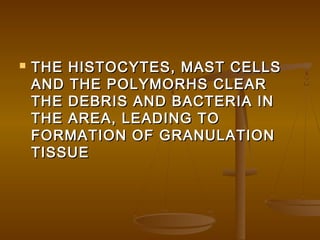  THE HISTOCYTES, MAST CELLSTHE HISTOCYTES, MAST CELLS
AND THE POLYMORHS CLEARAND THE POLYMORHS CLEAR
THE DEBRIS AND BACTERIA INTHE DEBRIS AND BACTERIA IN
THE AREA, LEADING TOTHE AREA, LEADING TO
FORMATION OF GRANULATIONFORMATION OF GRANULATION
TISSUETISSUE
 