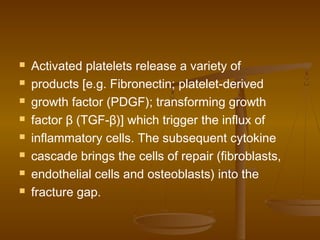  Activated platelets release a variety of
 products [e.g. Fibronectin; platelet-derived
 growth factor (PDGF); transforming growth
 factor β (TGF-β)] which trigger the influx of
 inflammatory cells. The subsequent cytokine
 cascade brings the cells of repair (fibroblasts,
 endothelial cells and osteoblasts) into the
 fracture gap.
 