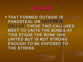 CALLUSCALLUS
 THAT FORMED OUTSIDE ISTHAT FORMED OUTSIDE IS
PAROSTEAL ORPAROSTEAL OR EXTERNALEXTERNAL
CALLUSCALLUS. THESE TWO CALLUSES. THESE TWO CALLUSES
MEET TO UNITE THE BONES.ATMEET TO UNITE THE BONES.AT
THIS STAGE THE BONE HASTHIS STAGE THE BONE HAS
UNITED BUT IS NOT STRONGUNITED BUT IS NOT STRONG
ENOUGH TO BE EXPOSED TOENOUGH TO BE EXPOSED TO
THE STRESS.THE STRESS.
 