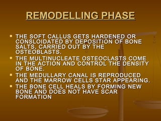 REMODELLING PHASEREMODELLING PHASE
 THE SOFT CALLUS GETS HARDENED ORTHE SOFT CALLUS GETS HARDENED OR
CONSLOIDATED BY DEPOSITION OF BONECONSLOIDATED BY DEPOSITION OF BONE
SALTS, CARRIED OUT BY THESALTS, CARRIED OUT BY THE
OSTEOBLASTS.OSTEOBLASTS.
 THE MULTINUCLEATE OSTEOCLASTS COMETHE MULTINUCLEATE OSTEOCLASTS COME
IN THE ACTION AND CONTROL THE DENSITYIN THE ACTION AND CONTROL THE DENSITY
OF BONE.OF BONE.
 THE MEDULLARY CANAL IS REPRODUCEDTHE MEDULLARY CANAL IS REPRODUCED
AND THE MARROW CELLS STAR APPEARING.AND THE MARROW CELLS STAR APPEARING.
 THE BONE CELL HEALS BY FORMING NEWTHE BONE CELL HEALS BY FORMING NEW
BONE AND DOES NOT HAVE SCARBONE AND DOES NOT HAVE SCAR
FORMATIONFORMATION
 