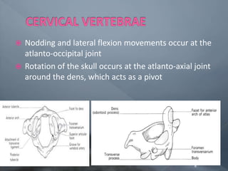 fractures of cervical spine and applied anatomy revised.pptx