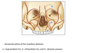 Fractures of the Middle-third of the Facial Skeleton (1).pptx