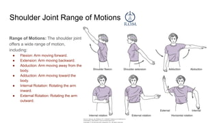 Shoulder Joint Range of Motions
Range of Motions: The shoulder joint
offers a wide range of motion,
including:
● Flexion: Arm moving forward.
● Extension: Arm moving backward.
● Abduction: Arm moving away from the
body.
● Adduction: Arm moving toward the
body.
● Internal Rotation: Rotating the arm
inward.
● External Rotation: Rotating the arm
outward.
 