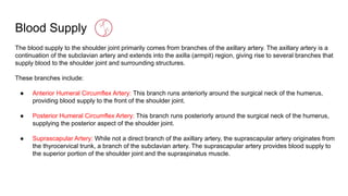 Blood Supply
The blood supply to the shoulder joint primarily comes from branches of the axillary artery. The axillary artery is a
continuation of the subclavian artery and extends into the axilla (armpit) region, giving rise to several branches that
supply blood to the shoulder joint and surrounding structures.
These branches include:
● Anterior Humeral Circumflex Artery: This branch runs anteriorly around the surgical neck of the humerus,
providing blood supply to the front of the shoulder joint.
● Posterior Humeral Circumflex Artery: This branch runs posteriorly around the surgical neck of the humerus,
supplying the posterior aspect of the shoulder joint.
● Suprascapular Artery: While not a direct branch of the axillary artery, the suprascapular artery originates from
the thyrocervical trunk, a branch of the subclavian artery. The suprascapular artery provides blood supply to
the superior portion of the shoulder joint and the supraspinatus muscle.
 