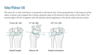 Volar/Palmar tilt
The volar tilt, or volar inclination, is measured on the lateral view. A line perpendicular to the long axis of the
radius is drawn, and a tangent line is drawn along the slope of the dorsal-to-volar surface of the radius. The
normal angle is 10-25º. A negative volar tilt indicates dorsal angulation of the distal, radial articular surface
 