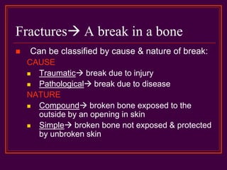 Fractures A break in a bone
 Can be classified by cause & nature of break:
CAUSE
 Traumatic break due to injury
 Pathological break due to disease
NATURE
 Compound broken bone exposed to the
outside by an opening in skin
 Simple broken bone not exposed & protected
by unbroken skin
 