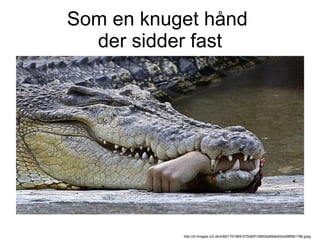 Som en knuget hånd  der sidder fast http://i2-images.tv2.dk/s/69/1701969-075d60f1386b5d69de50bddf8f961786.jpeg 