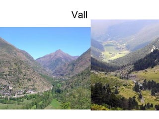 Vall 