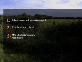 1. Ad qui noster voluptua consequat.
2. At vel maiorum blandit.
3. Mea ut affert mentitum
reprimique
 