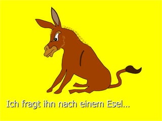 Ich fragt ihn nach einem Esel…