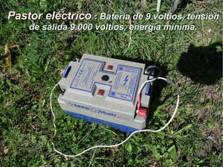 Pastor eléctricoPastor eléctrico : Batería de 9 voltios, tensión: Batería de 9 voltios, tensión
de salida 9.000 voltios, energía mínima.de salida 9.000 voltios, energía mínima.