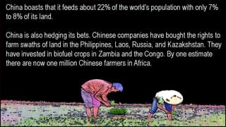  Shanghai - The Fragile Megacity