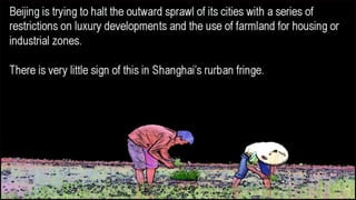  Shanghai - The Fragile Megacity
