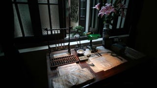  Shanghai - The Fragile Megacity