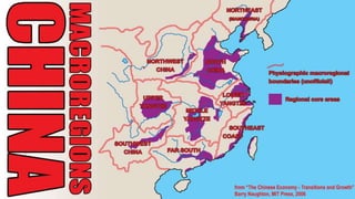  Shanghai - The Fragile Megacity