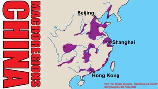  Shanghai - The Fragile Megacity