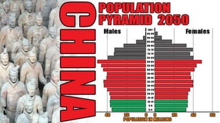  Shanghai - The Fragile Megacity