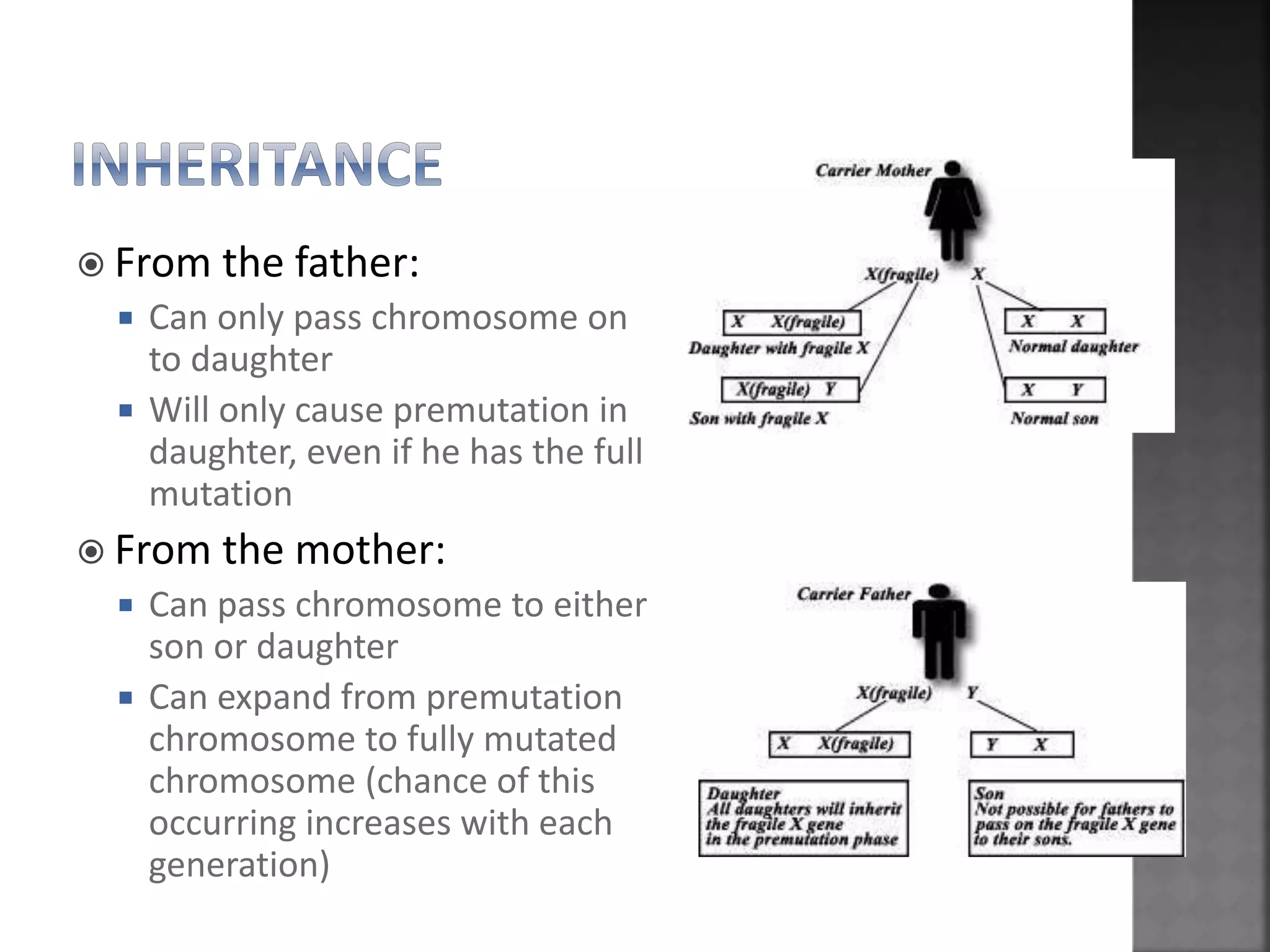  From the father:
 Can only pass chromosome on
to daughter
 Will only cause premutation in
daughter, even if he has the full
mutation
 From the mother:
 Can pass chromosome to either
son or daughter
 Can expand from premutation
chromosome to fully mutated
chromosome (chance of this
occurring increases with each
generation)
 