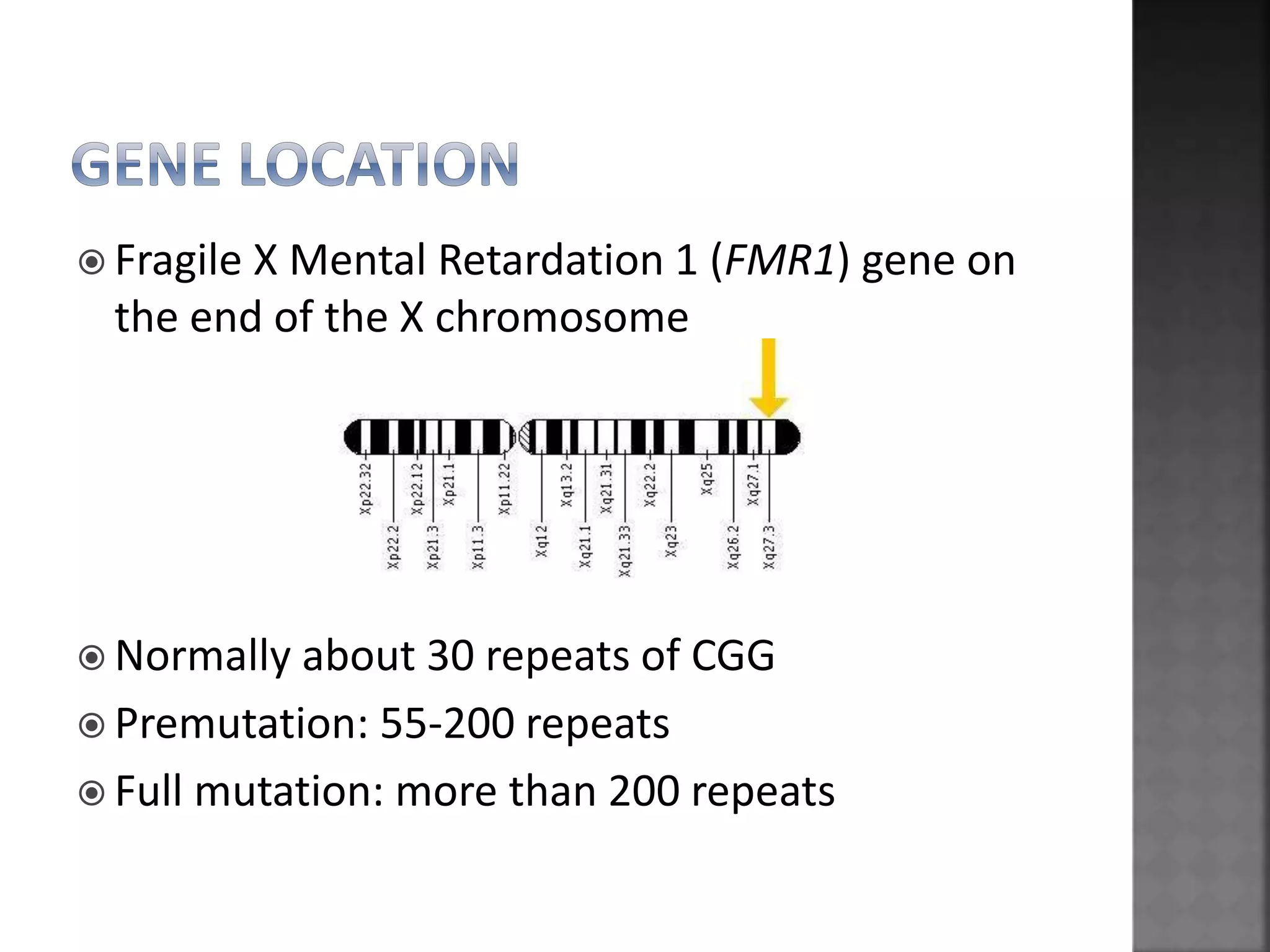  Fragile X Mental Retardation 1 (FMR1) gene on
the end of the X chromosome
 Normally about 30 repeats of CGG
 Premutation: 55-200 repeats
 Full mutation: more than 200 repeats
 