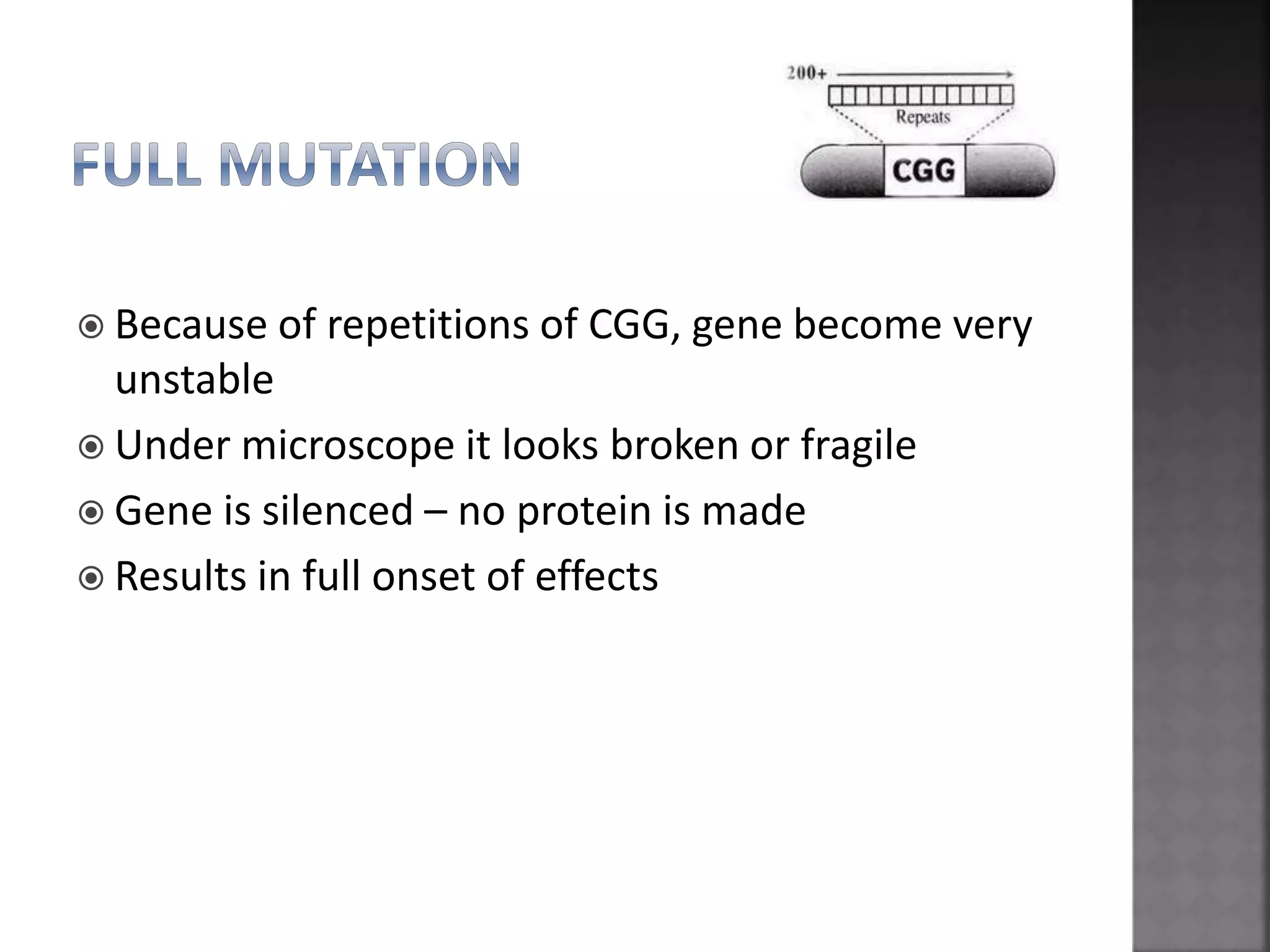  Because of repetitions of CGG, gene become very
unstable
 Under microscope it looks broken or fragile
 Gene is silenced – no protein is made
 Results in full onset of effects
 