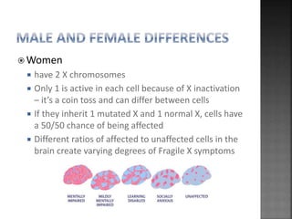  Women
 have 2 X chromosomes
 Only 1 is active in each cell because of X inactivation
– it’s a coin toss and can differ between cells
 If they inherit 1 mutated X and 1 normal X, cells have
a 50/50 chance of being affected
 Different ratios of affected to unaffected cells in the
brain create varying degrees of Fragile X symptoms
 