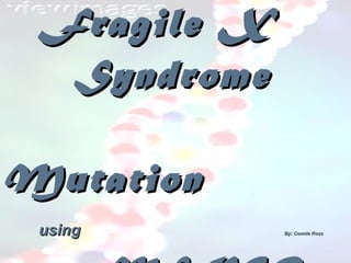 Detection of   Fragile X Syndrome  Mutation  using By: Connie Ross MS-PCR 