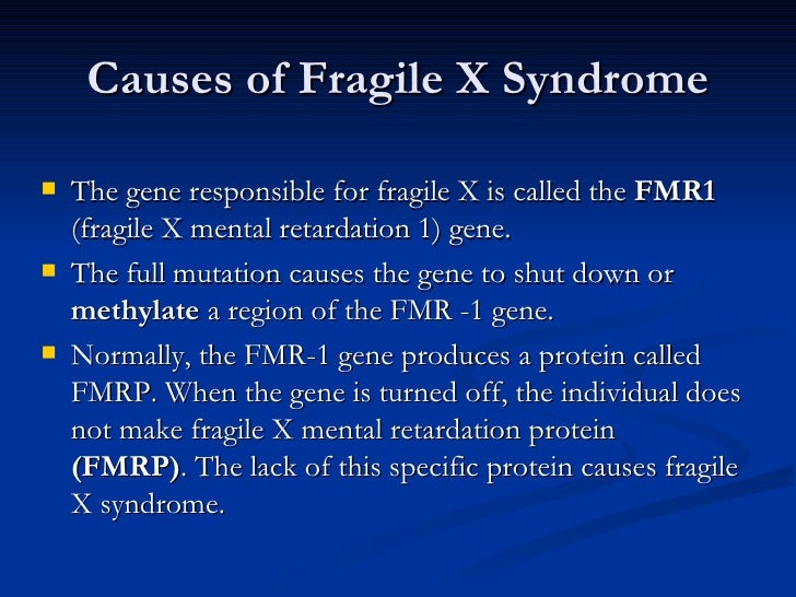 Fragile x syndrome Fragile x syndrome