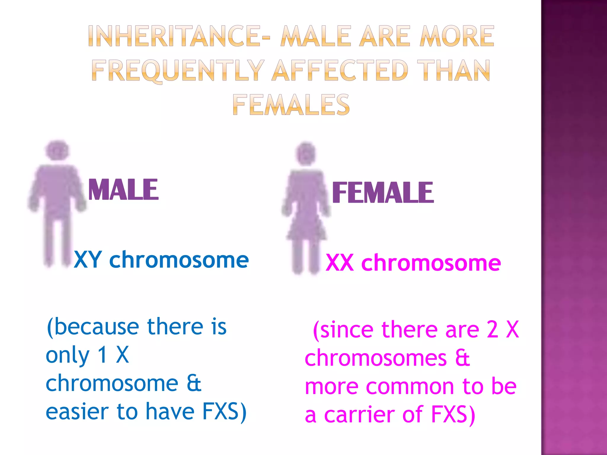 MALE
XY chromosome
(because there is
only 1 X
chromosome &
easier to have FXS)
FEMALE
XX chromosome
(since there are 2 X
chromosomes &
more common to be
a carrier of FXS)
 