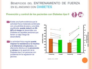 BENEFICIOS DEL ENTRENAMIENTO DE FUERZA
EN EL ANCIANO CON DIABETES
Existe una fuerte evidencia que la
actividad física moderada combinada
con una pérdida de peso y una dieta
equilibrada, puede reducir un 50-
60% el riesgo de desarrollar una
Díabetes en aquellas personas que
tienen un algo riesgo de
desarrollarla.
La actividad física regular puede
mejorar la resistencia a la insulina
y la tolerancia a la glucosa y es
altamente efectiva en la prevención
y retraso en la aparición de la
Díabetes tipo 2 en personas con
problemas en la regulación de
glucosa.
Ibañez et al. 2005
Prevención y control de los pacientes con Díabetes tipo II
0
50
100
150
200
250
300
350
400
450
500
Pretraining 16 week Pretraining 16 week
VISCERALFAT(cm3)
0
0,5
1
1,5
2
2,5
3
3,5
4
4,5
5
5,5
INSULINESENSITIVITYINDEX
(10-4·min-1·XU·ml-1)
**
**
 