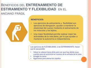BENEFICIOS DEL ENTRENAMIENTO DE
ESTIRAMIENTO Y FLEXIBILIDAD EN EL
ANCIANO FRÁGIL
BENEFICIOS:
• Los ejercicios de estiramiento y flexibilidad son
ejercicios de elongación, ayudan a mantener la
elasticidad del cuerpo mediante el estiramiento de
los músculos y los tejidos.
• Una mejor flexibilidad permite realizar mejor las
actividades de la vida diaria, por lo que ayudan a
mantener la autonomía e independencia.
Los ejercicios de FLEXIBILIDAD, o de ESTIRAMIENTO, hacen
que le sea posible:
• Volver la cabeza hacia atrás para ver que hay detrás suyo
cuando saca el automóvil en reverso de la entrada de la casa.
• Arreglar la cama
• Agacharse para atarse los zapatos
 