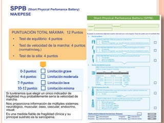 PUNTUACIÓN TOTAL MÁXIMA: 12 Puntos
• Test de equilibrio: 4 puntos
• Test de velocidad de la marcha: 4 puntos
(normal/m/seg.)
• Test de la silla: 4 puntos
SPPB (Short Physical Perfomance Battery)
NIA/EPESE
Si tuviéramos que elegir un único indicador de
fragilidad muy probablemente sería la velocidad de
marcha.
Nos proporciona información de múltiples sistemas:
neurológico, muscular, óseo, vascular, endocrino,
visual.
Es una medida fiable de fragilidad clínica y su
principal sustrato es la sarcopenia.
 