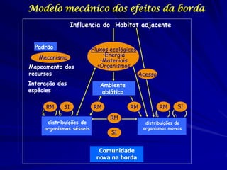 RM 
SI 
RM 
SI 
Influencia do Habitat adjacente 
Fluxos ecológicos 
•Energia 
•Materiais 
•Organismos 
Ambiente abiótico 
distribuições de organismos sésseis 
Acesso 
RM 
RM 
SI 
distribuições de organismos moveis 
RM 
Padrão 
Mecanismo 
Comunidade nova na borda 
Mapeamento dos recursos 
Interação das espécies 
Modelo mecânico dos efeitos da borda  