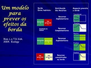 Um modelo para prever os efeitos da borda 
Borda 
Entre habitats: 
Distribuição 
dos Recursos 
Resposta prevista 
a borda 
Apropriado 
I 
Transitional 
Positive 
Negative 
Apropriado 
II 
Positive 
Neutro 
Recursos Complementares 
Recursos Suplementares 
Não 
apropriado 
II 
Recursos 
concentrados na borda 
Positiva 
Recursos Complementares 
Recursos Suplementares 
Positiva 
Qualidade do habitat 
Ries, L e T.D Sisk. 
2004. Ecology 
Não 
apropriado 
I 
Apropriado 
I 
Não 
apropriado 
I 
 