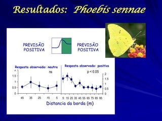 Resultados: Phoebis sennae 
PREVISÃO 
POSITIVA 
PREVISÃO 
POSITIVA 
e) Observed response: neutral 
0 
0.5 
1 
1.5 
2 
45 35 25 15 5 
ns 
0 
0.5 
1 
1.5 
2 
5 15 25 35 45 55 65 75 85 95 
p < 0.05 
f) Observed response: positive 
Distancia da borda (m) 
Resposta observada: neutra Resposta observada: positiva 
 