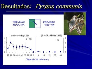 PREVISÃO 
NEGATIVA 
PREVISÃO 
POSITIVA 
Prob. Occurrence 
Distancia da borda (m) 
f) DS - GRASS Edge (1999) 
0 
1 
2 
3 
5 15 25 35 45 
ns 
e) GRASS -DS Edge (1999) 
0 
1 
2 
3 
95 85 75 65 55 45 35 25 15 5 
p < 0.05 
Resultados: Pyrgus communis 
 
