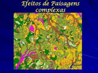 Efeitos de Paisagens complexas  