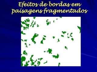 Efeitos de bordas em paisagens fragmentados  