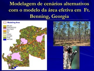 Modelagem de cenários alternativos com o modelo da área efetiva em Ft. Benning, Georgia 
FOCUS AREA FOR MODELING 
Modeling Area  