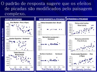 0km/ha 
EVITAM PICADAS 
Pine Warbler - Pine (>70yrs) 
-0.035 
-0.03 
-0.025 
-0.02 
-0.015 
-0.01 
-0.005 
0 
0.005 
Acadian flycatcher - Hardwood 
-0.01 
-0.008 
-0.006 
-0.004 
-0.002 
0 
0.002 
Tufted titmouse - 
Mixed stands 
-0.025 
-0.02 
-0.015 
-0.01 
-0.005 
0 
0 0.01 0.02 0.03 0.04 
Trail Density (km/ha) 
Mudança prevista na densidade 
SEM RESPOSTA A PICADAS 
Yellow-breasted chat - Brush 
-0.006 
-0.004 
-0.002 
0 
0.002 
0.004 
0.006 
Red-bellied woodpecker - 
Hardwood 
-0.006 
-0.004 
-0.002 
0 
0.002 
0.004 
0.006 
Northern Cardinal - Hardwood 
-0.006 
-0.004 
-0.002 
0 
0.002 
0.004 
0.006 
0 0.01 0.02 0.03 0.04 0.05 
ATRAIDAS A PICADAS 
Rufous-sided towhee- 
Mixed stands 
-0.002 
0 
0.002 
0.004 
0.006 
0.008 
0.01 
0.012 
Blue-gray gnatcatcher 
Pine (6-30 yrs) 
0 
0.005 
0.01 
0.015 
0.02 
0.025 
0.03 
Great-crested flycatcher - Pine 
(>70yrs) 
-0.005 
0 
0.005 
0.01 
0.015 
0.02 
0 0.01 0.02 0.03 0.04 
Trail Density (km/ha) Trail Density (km/ha) Trail Density (km/ha) 
O padrão de resposta sugere que os efeitos 
de picadas são modificados pelo paisagem 
complexo. 
 