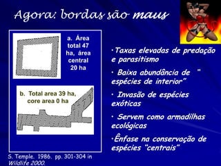 b. Total area 39 ha, core area 0 ha 
a. Área total 47 ha, área central 20 ha 
Agora: bordas são maus 
•Taxas elevadas de predação e parasitismo 
• Baixa abundância de “ espécies de interior” 
• Invasão de espécies exóticas 
• Servem como armadilhas ecológicas 
•Ênfase na conservação de espécies “centrais” 
S. Temple. 1986. pp. 301-304 in Wildlife 2000.  