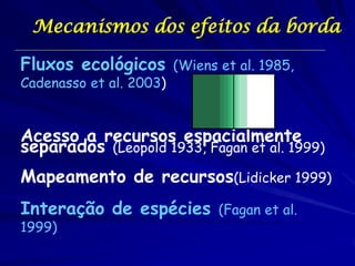 Mecanismos dos efeitos da borda 
Fluxos ecológicos (Wiens et al. 1985, Cadenasso et al. 2003) 
Acesso a recursos espacialmente separados (Leopold 1933, Fagan et al. 1999) 
Mapeamento de recursos(Lidicker 1999) 
Interação de espécies (Fagan et al. 1999) 
 