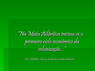 “ Na Mata Atlântica iniciou-se o primeiro ciclo econômico da colonização...” Fonte: RBMA – Reserva da Biosfera da Mata Atlântida  